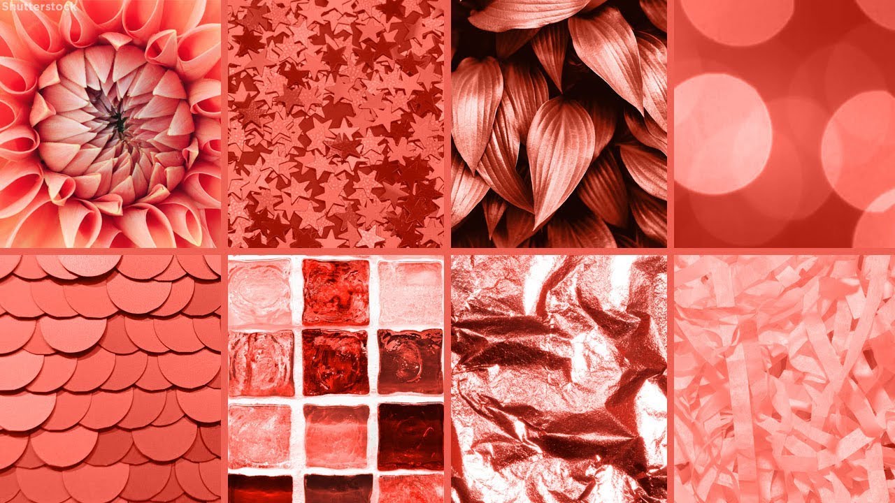 CWFT-TRENDS-pantone-color-of-the-year-2019-living-coral-1
