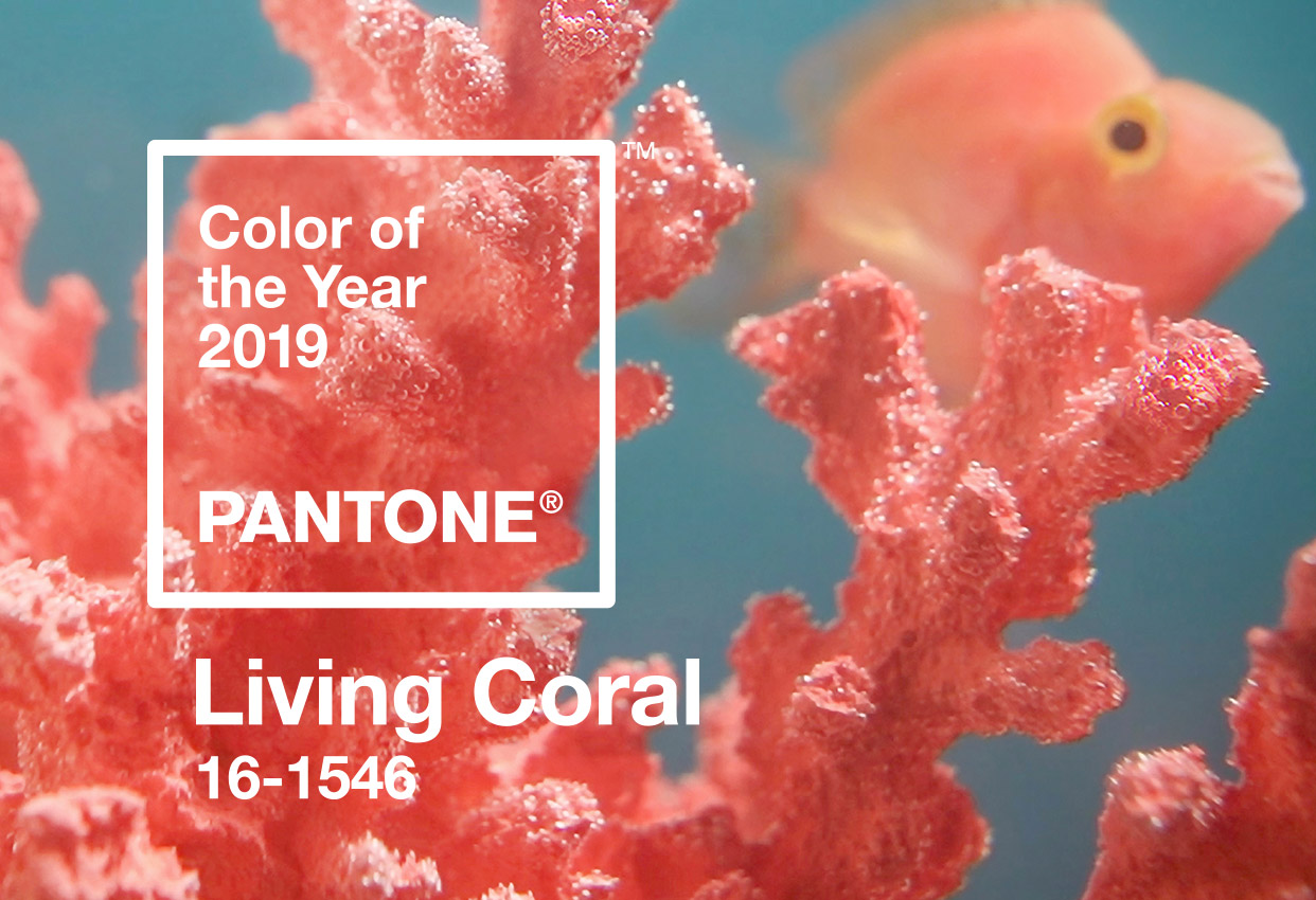 CWFT-TRENDS-pantone-color-of-the-year-2019-living-coral-2